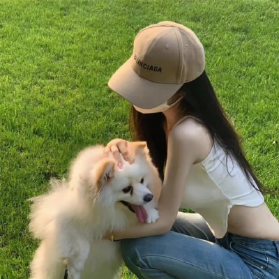 猪猪侠